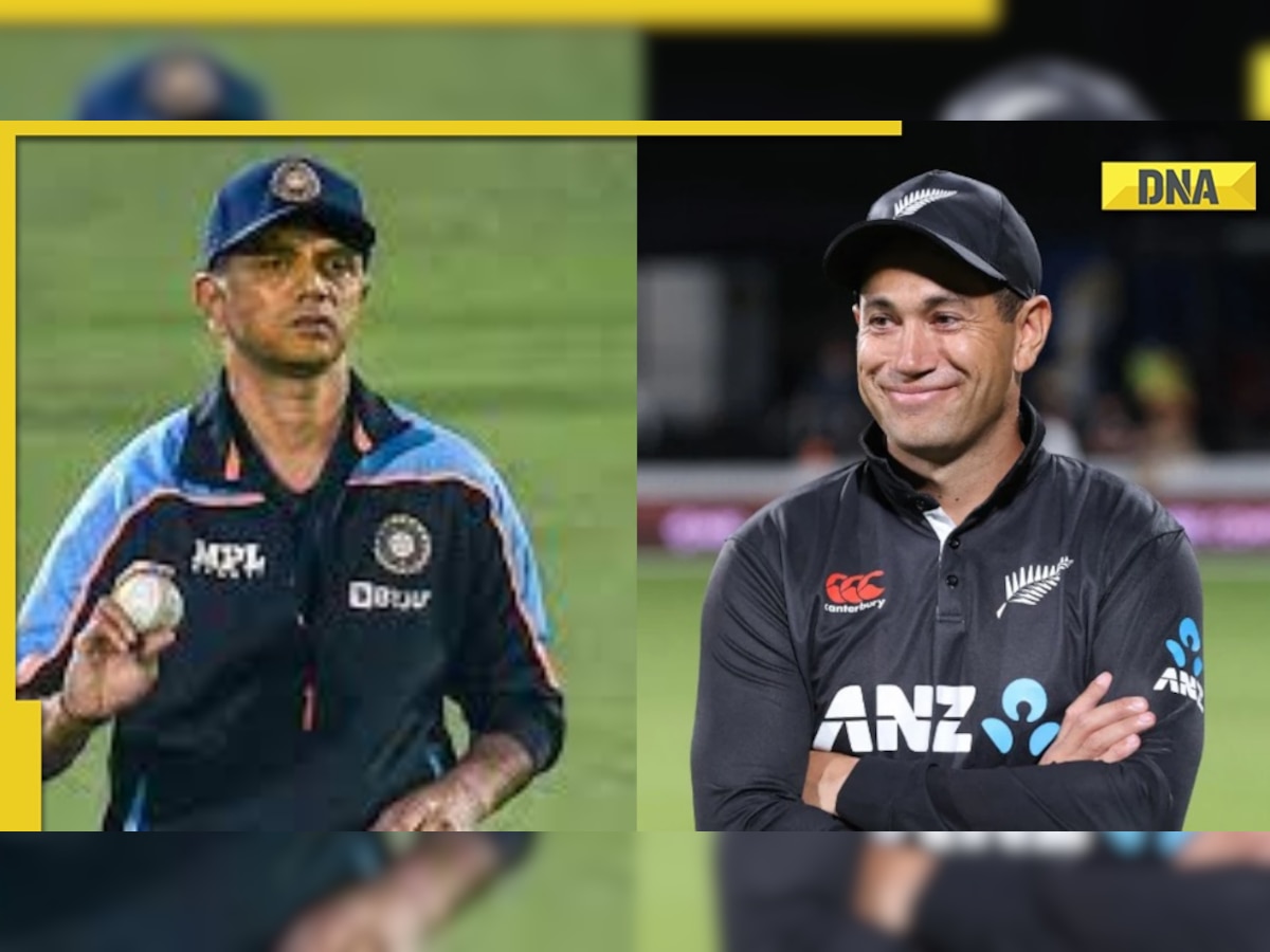 Thousands of tigers in the world, but Dravid…’, check out Ross Taylor's statement on Team India head coach