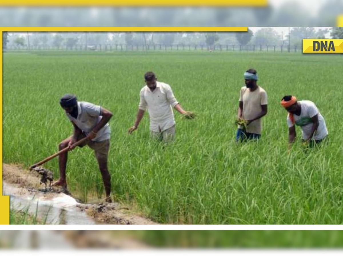 PM Kisan Yojana: Last date to update KYC online or offline extended, know steps