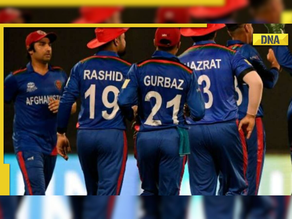 AFG vs IRE: Rashid Khan, Najibullah Zadran shine in emphatic win