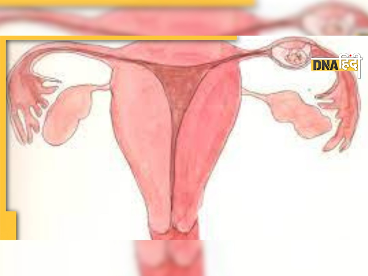 Fallopian Tube Pregnancy: क्या आपने इस प्रेग्नेंसी के बारे में सुना हैं, ज�ानिए कैसे होती है और आप कैसे समझेंगे इसे 