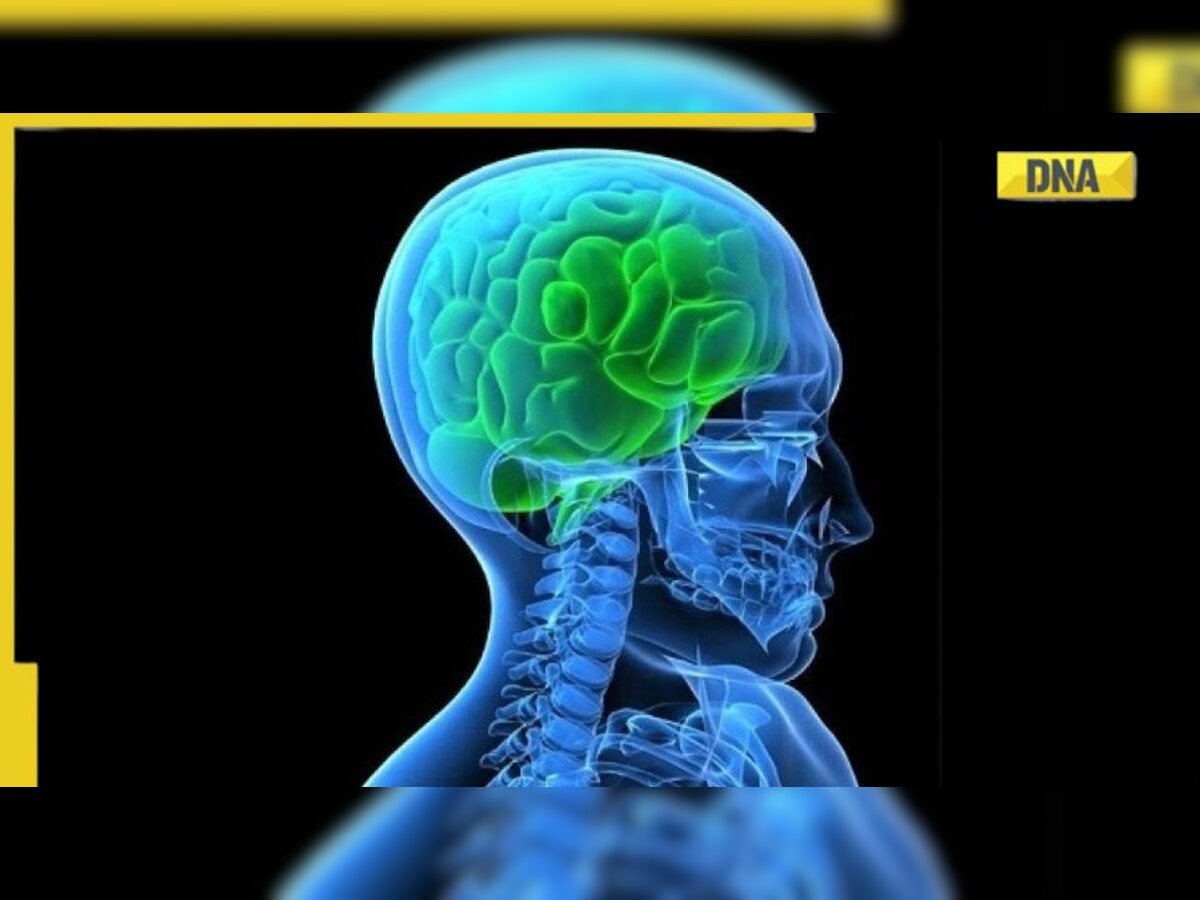 What causes you to feel tired after thinking hard? A study has this to claim