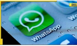 WhatsApp launches new app for Windows users, here’s how you can download it