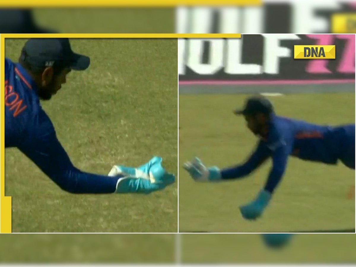 IND vs ZIM 2nd ODI: Sanju Samson takes astonishing one-handed diving catch, video viral