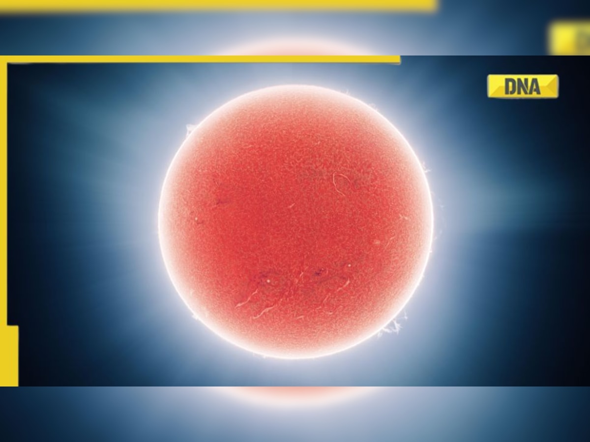 '145 megapixel' image of Sun: Reddit user shares high-quality photo of Sun taken by a modified telescope