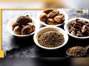 Diabetes Reduce Churan: एक चम्मच ये आयुर्वेदिक चूर्ण खाते ही ब्लड शुगर होगा डाउन, डायबिटीज रोगी जान लें इसे बनाने का तरीका