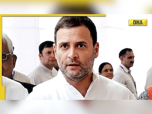 'Congress unanimously in favour of Rahul Gandhi as party president': Rajasthan CM Ashok Gehlot 