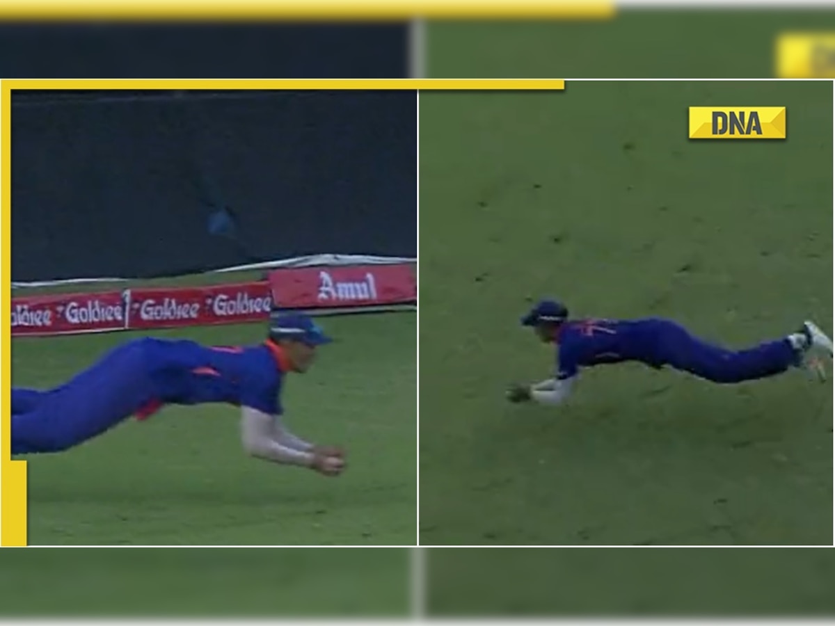 IND vs ZIM: Shubman Gill takes stunning diving catch to dismiss Sikander Raza, video viral