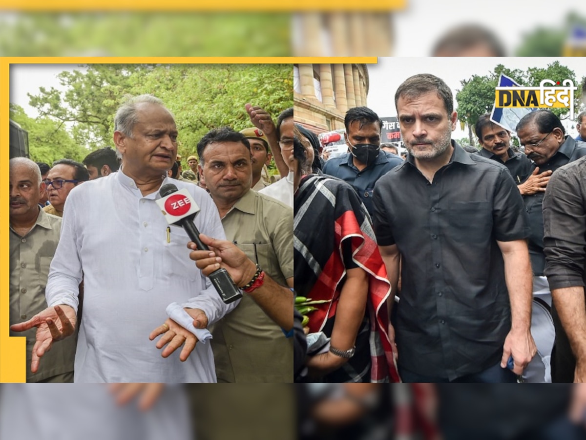 'Rahul Gandhi अगर अध्यक्ष नहीं बनें तो हमें तकलीफ होगी, कई लोग घर बैठ जाएंगे'