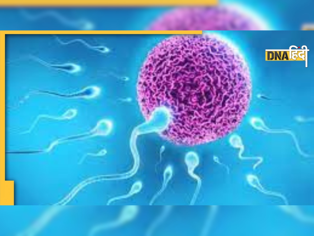 Male Infertility: पुरुषों के शुक्राणु में कमी बन सकती है उनके बांझपन की वजह, जानिए कैसे 