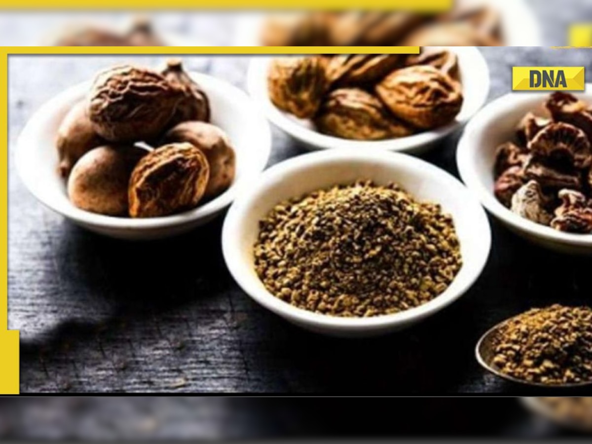 Ayurvedic herbs for Diabetes: Make these 6 churna at home to control high sugar level