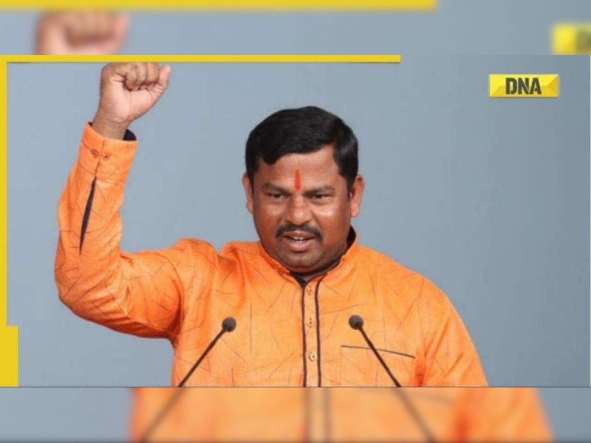 Why was BJP's Raja Singh arrested again, hours after getting bail in Prophet remarks row?