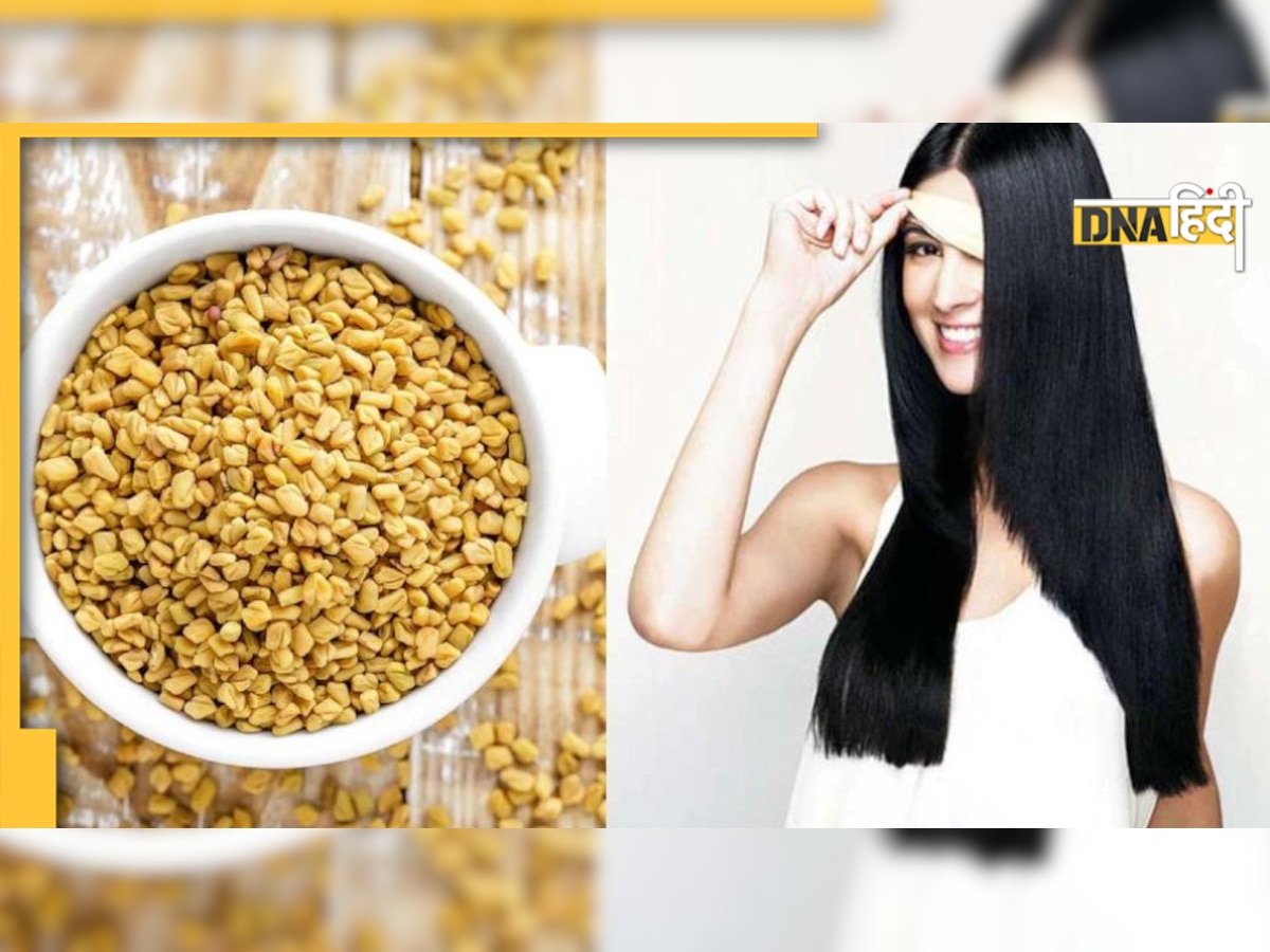 Fenugreek Seeds for hair: बालों के लिए बेस्ट है मेथी पाउडर, 1 चम्मच लगाते ही सफेद बाल गायब