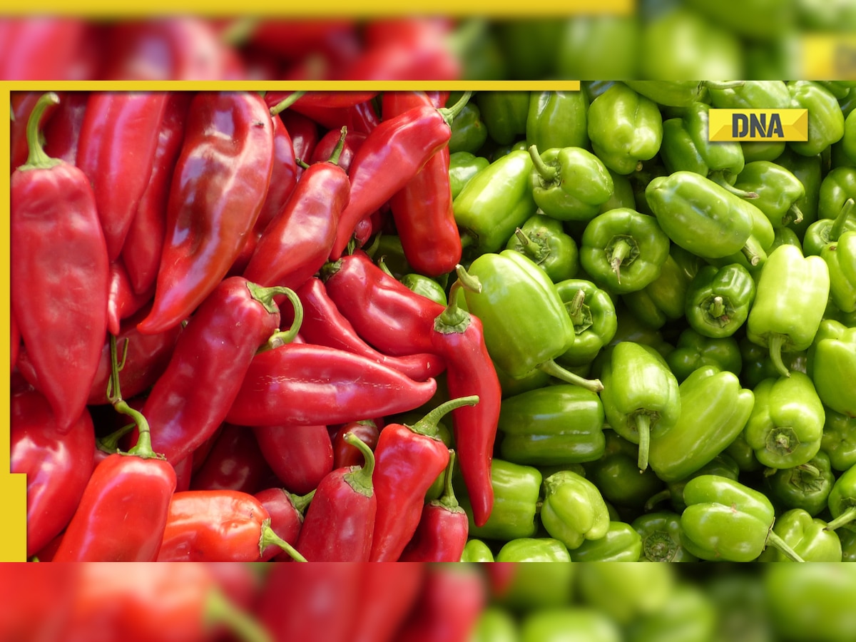 Green vs Red chilli in diet: Know which is healthier for you