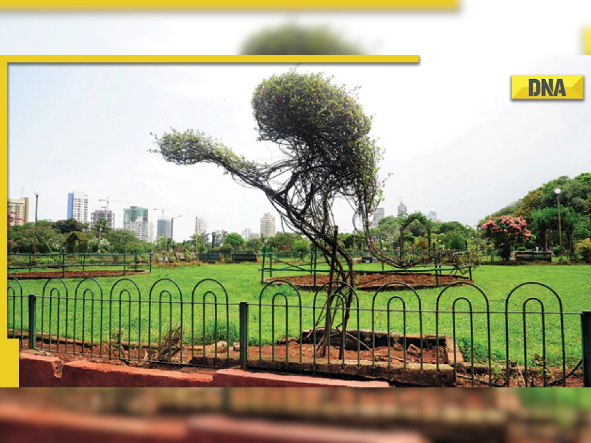 ‘Couples not allowed’ board in Pune Garden sparks row; PMC cites it disturbs bird watching