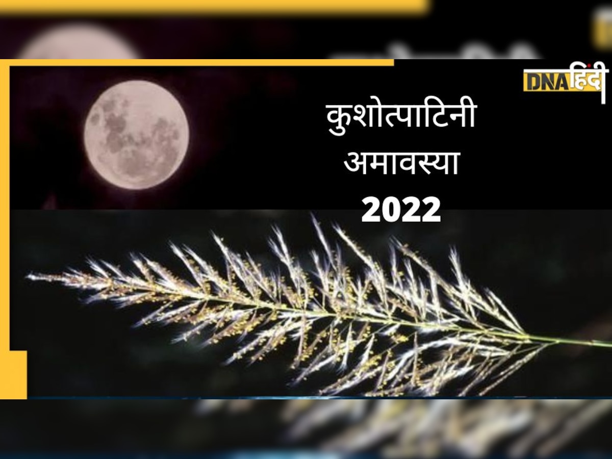 Kushotipatni Amavasya 2022: शनिवार 27 अगस्‍त को है कुशोत्पाटिनी अमावस्या, जानें कुश का महत्व-मंत्र और पूजा विधि