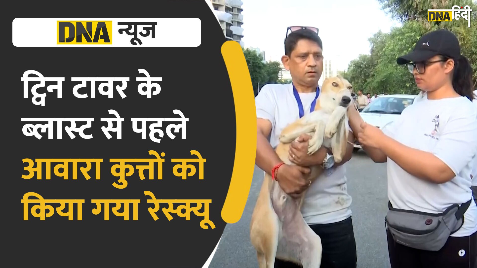 Video : ट्विन टावर के ब्लास्ट से पहले आवारा कुत्तों को गिया गया रेस्क्यू