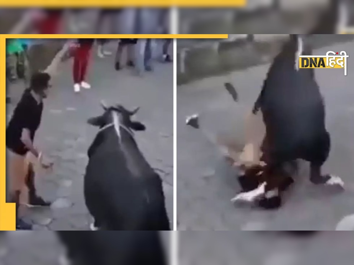 Viral Video: सांड से पंगा लेना पड़ा भारी, पड़ी ऐसी लात कि दिन में नजर आ गए तारे