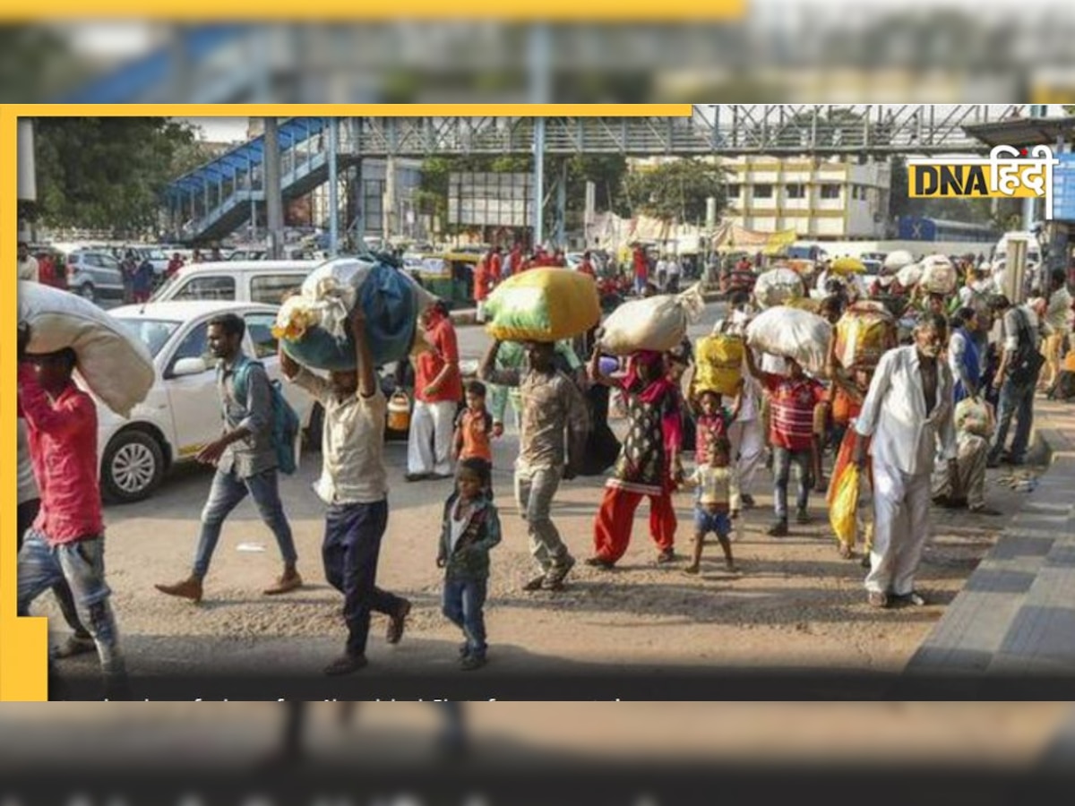 Migration: शादी की वजह से होते हैं सबसे ज्यादा लोग दर-ब-दर, 10 में से 7 भारतीयों के लिए ये है सबसे बड़ी वजह