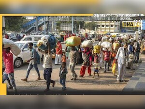 Migration: शादी की वजह से होते हैं सबसे ज्यादा लोग दर-ब-दर, 10 में से 7 भारतीयों के लिए ये है सबसे बड़ी वजह