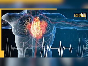 Heart Failure Sign: इन कुछ लक्षणों से तुरंत हो जाएं सावधान, हार्ट फेल्योर की हो सकती है निशानियां