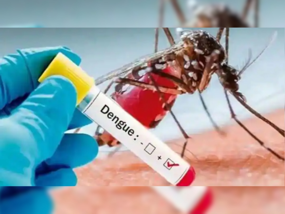 Dengue Fever: देश मे बढ़ रहा है डेंगू का कहर, जाने क्या हैं लक्षण और बचने का उपाय