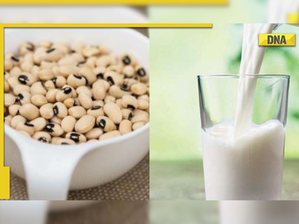 Cowpea Milk: CSA scientists make soy milk substitute - know how to prepare at home