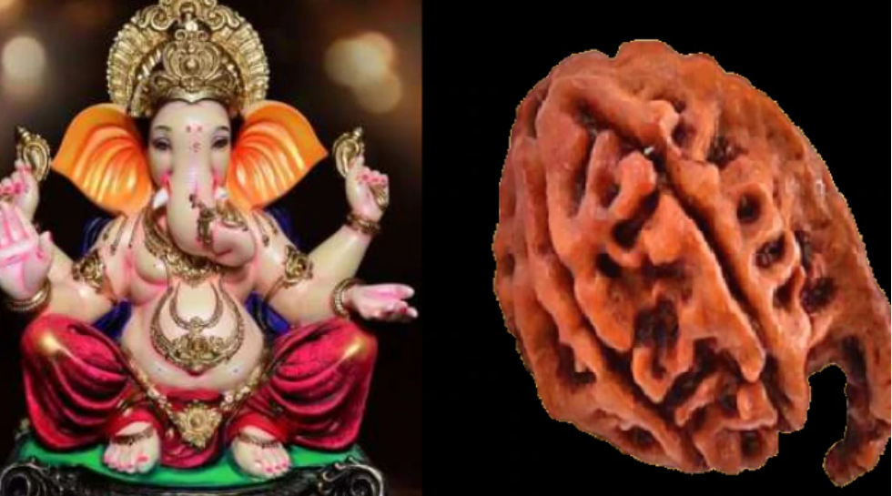Ganesh Rudraksh Benefits बिजनेस में लाभ चाहिए या फिर परीक्षा में सफलता