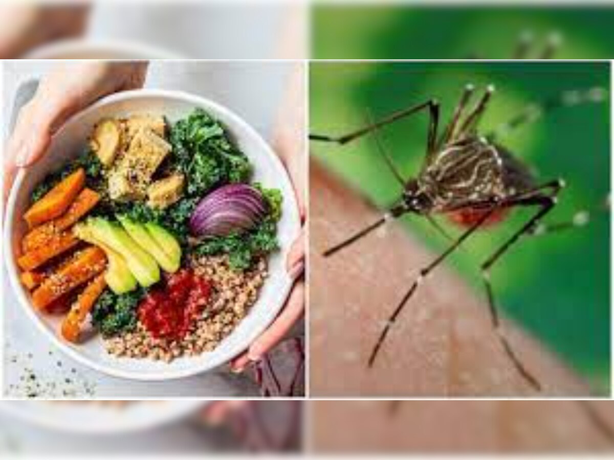 Dengue Patient Diet: डेंगू से रहे हैं जूझ तो बिल्कुल न खाएं ये चीज़ें, यूं रखें खान-पान का ध्यान 