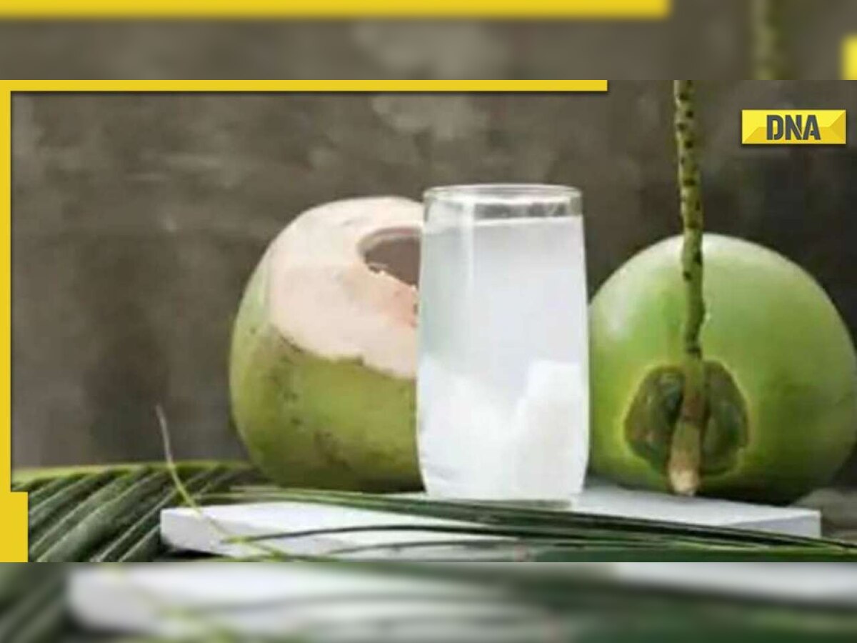 World Coconut Day 2022: Know history, significance, theme, interesting facts about multipurpose fruit nariyal