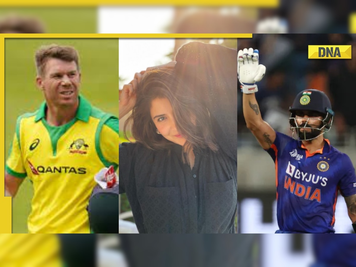 David Warner clarifies comment on Kohli's post on Anushka Sharma, Virat shuts trolls with a class reply