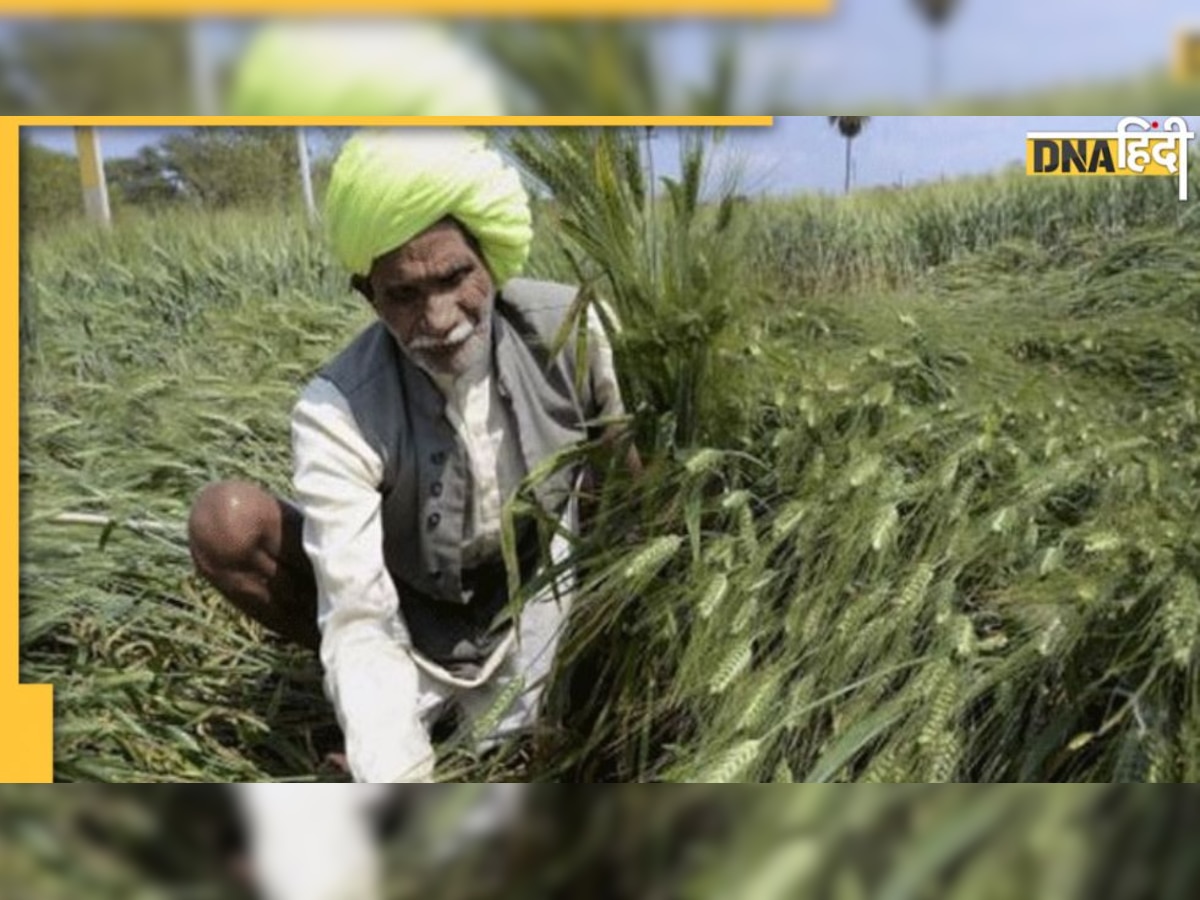 PK Kisan से जुड़ी इस योजना में होगा बड़ा बदलाव, कु��छ ऐसी है सरकार की प्लानिंग 