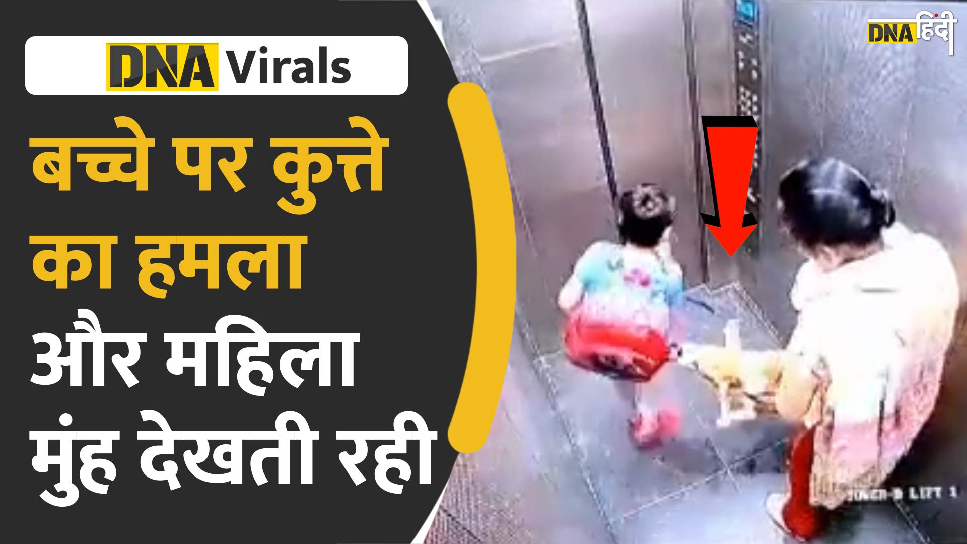 Video: गाजियाबाद में कुत्ते ने बच्चे को काट लिया, लेकिन महिला टस से मस नहीं हुई, देखें चौंकाने वाला वीडियो