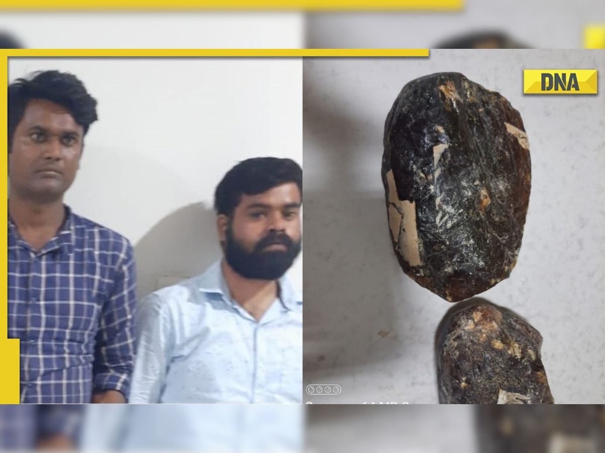 Whale vomit worth Rs 10 crore seized in Uttar Pradesh, 4 men arrested by STF