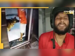 पालतू कुत्ते ने काट खाया Zomato डिलीवरी ब्वॉय का प्राइवेट पार्ट, वीडियो देख सहम उठेगा दिल
