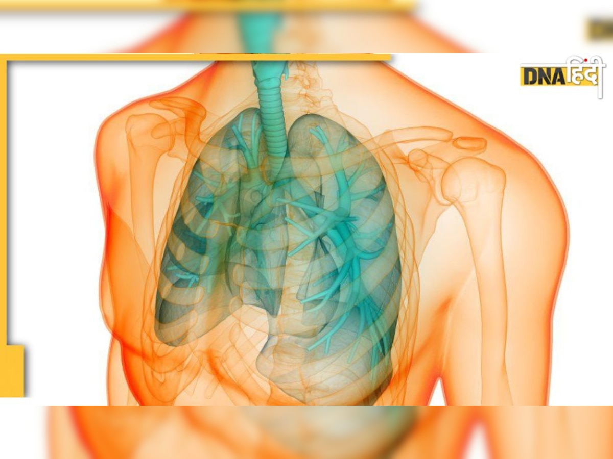 Vitamins for Lungs: इन विटामिन की कमी से होते हैं फेफड़े खराब, सीने में भारीपन और दर्द हो तो दें ध्यान