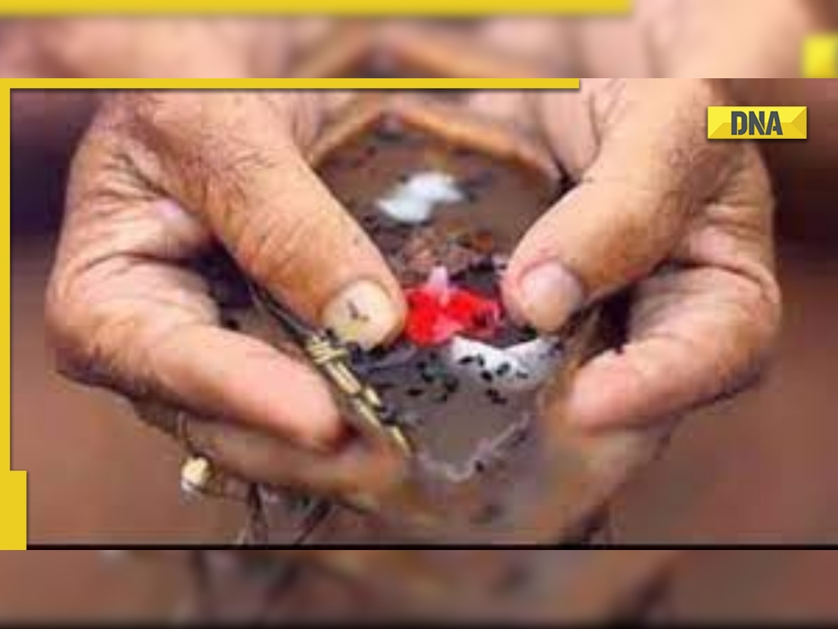 Pitru Paksha 2022: Know why performing `Pind Daan' in Bihar's Gaya is considered as road to salvation