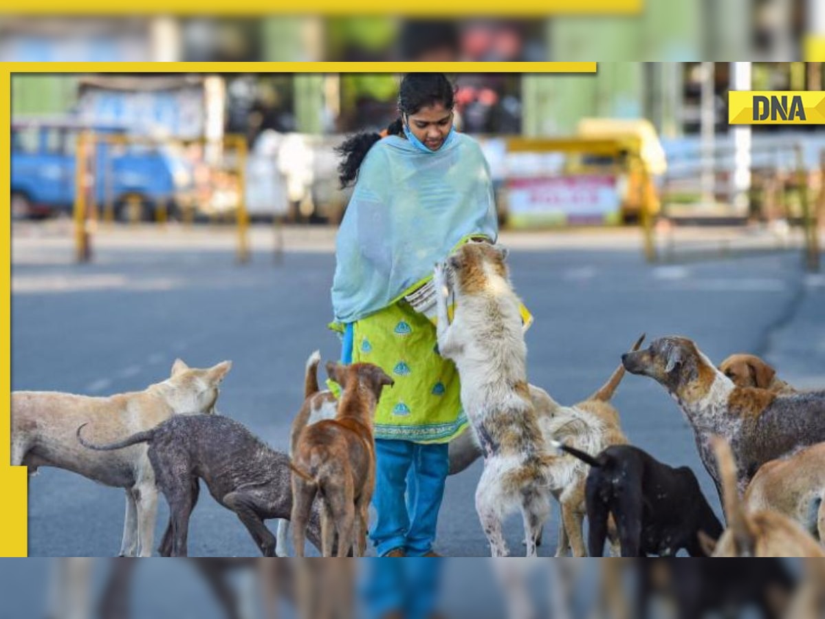 MCD asks Delhi residents to get pets registered in light of rise in dog-bite incidents