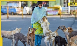 MCD asks Delhi residents to get pets registered in light of rise in dog-bite incidents
