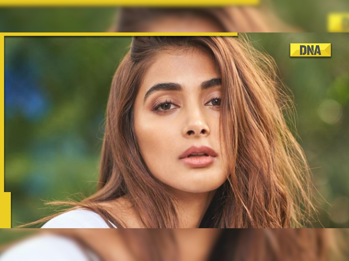 Pooja Hegde says 'we need to support the industry' ahead of her two major releases Kisi Ka Bhai Kisi Ki Jaan, Cirkus