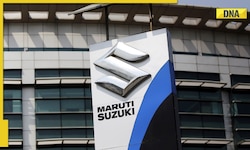 Domestic passenger vehicle sales may touch a record level this year: Maruti Suzuki
