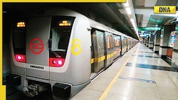 Delhi Metro Yellow Line services resume after three hours of disruption