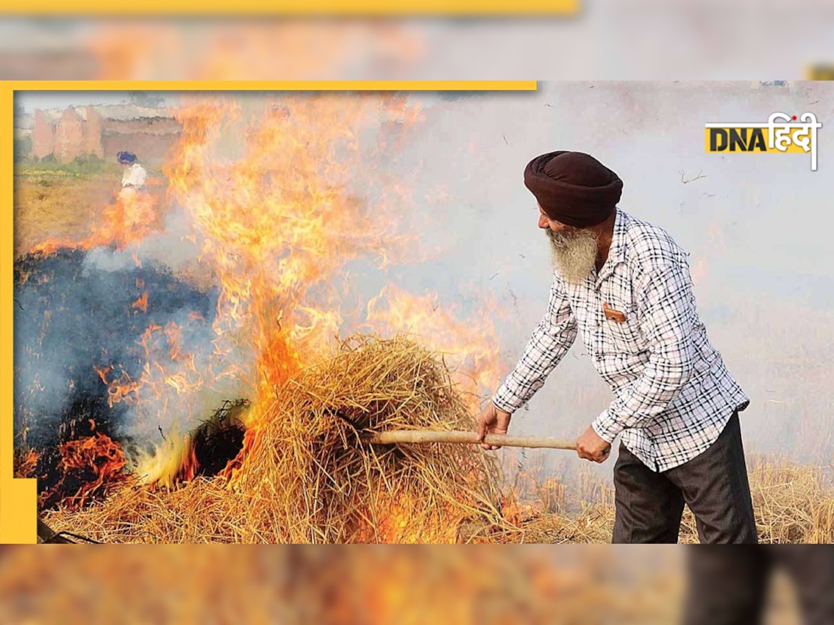 Punjab Stubble Burning: काम आया 'पराली धन' प्लान, Punjab में इस साल 20% घटे जलाने के मामले