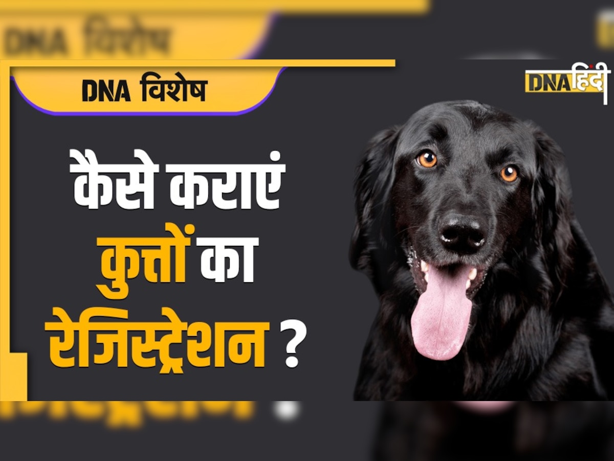 Dog Registration: पालतू कुत्तों का ऐसे करवाएं रजिस्ट्रेशन नहीं तो लग सकता है जुर्माना