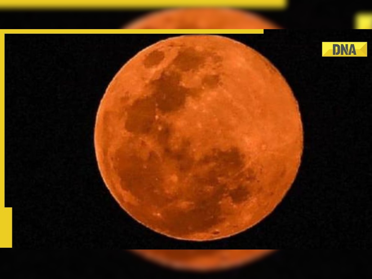 What is Harvest Moon 2022: Know timings, significance, meaning