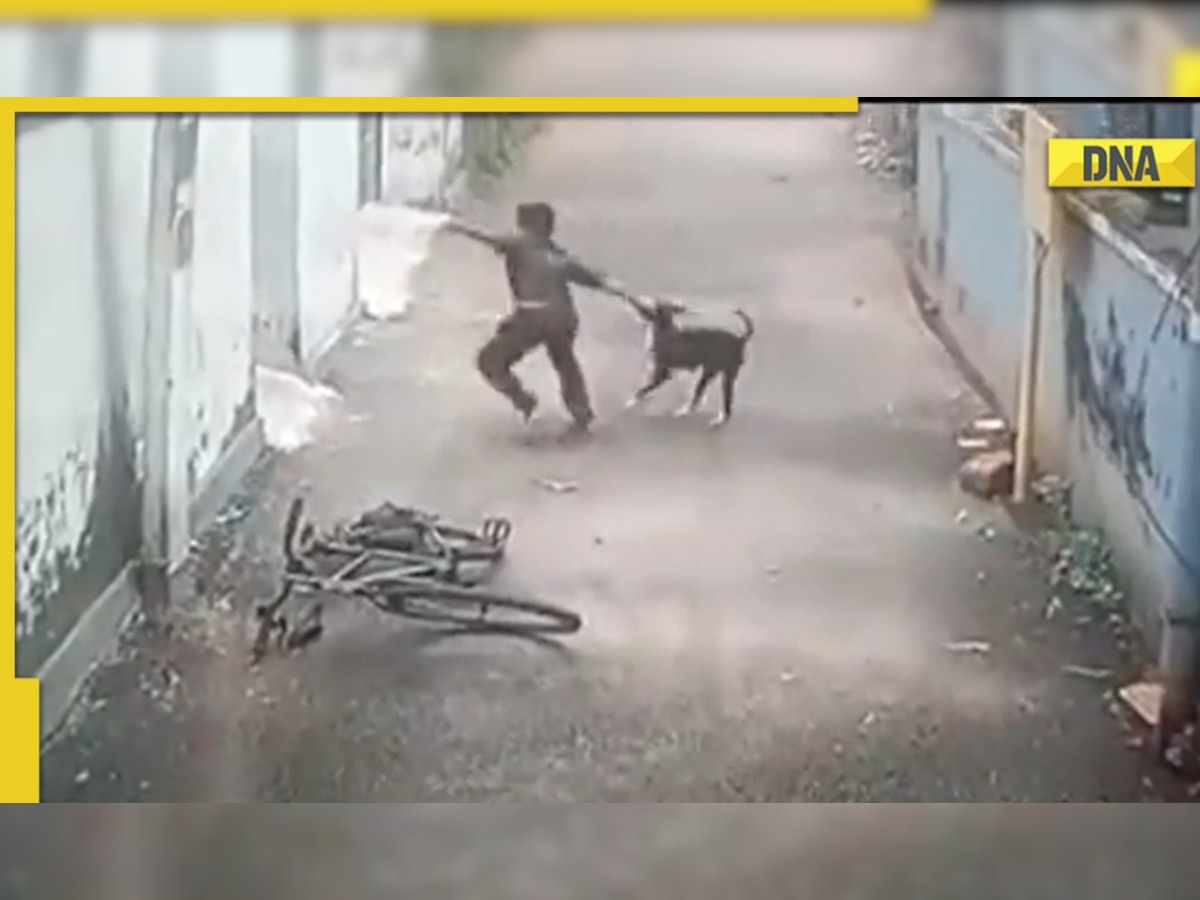 Stray dog brutally attacks 12-year-old boy in Kerala, shocking video goes viral