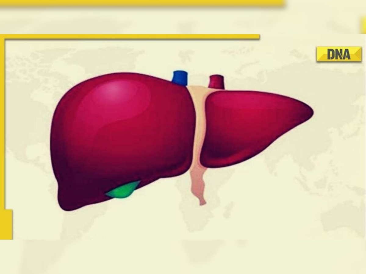 5 reasons you may be at risk of liver disease 