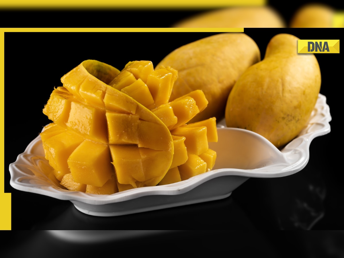 Can diabetes patients eat mango? Here’s what the expert says