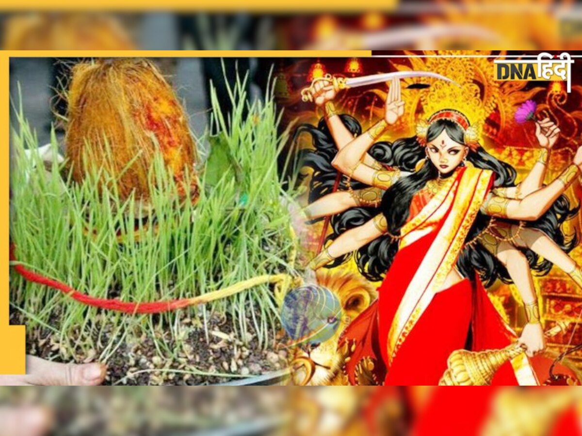 Navratri: शारदीय नवरात्रि में बोए ज्वार भी देतें हैं शुभ-अशुभ का संकेत