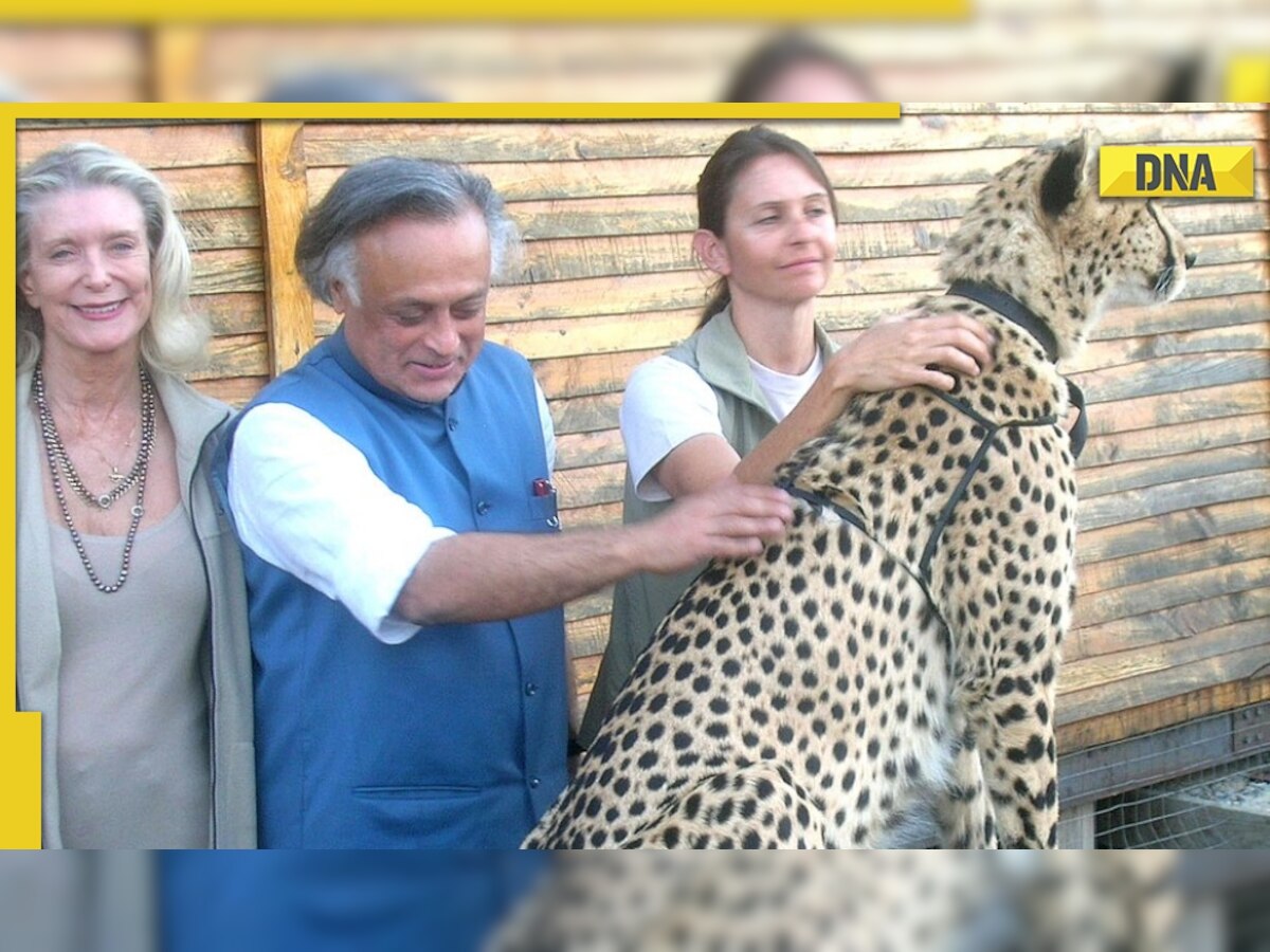 Congress says 'project cheetah' was prepared in 2008-09 during the UPA government