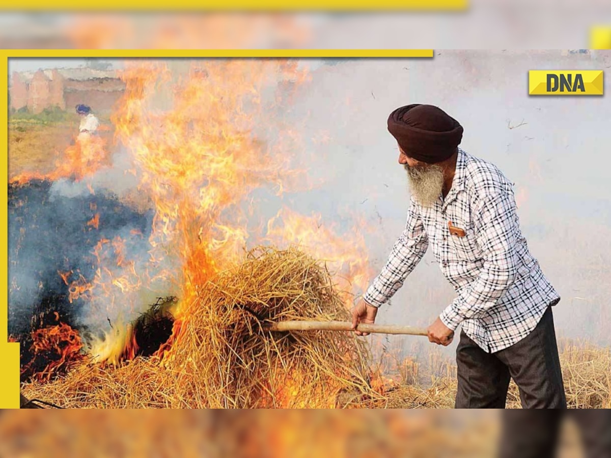 Air pollution: Delhi, Punjab join hands to curb stubble burning in harvest season